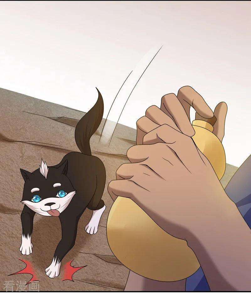 17.jpg