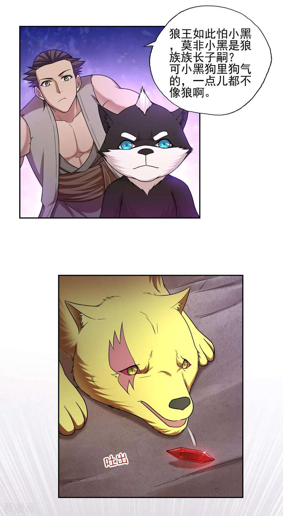 20.jpg