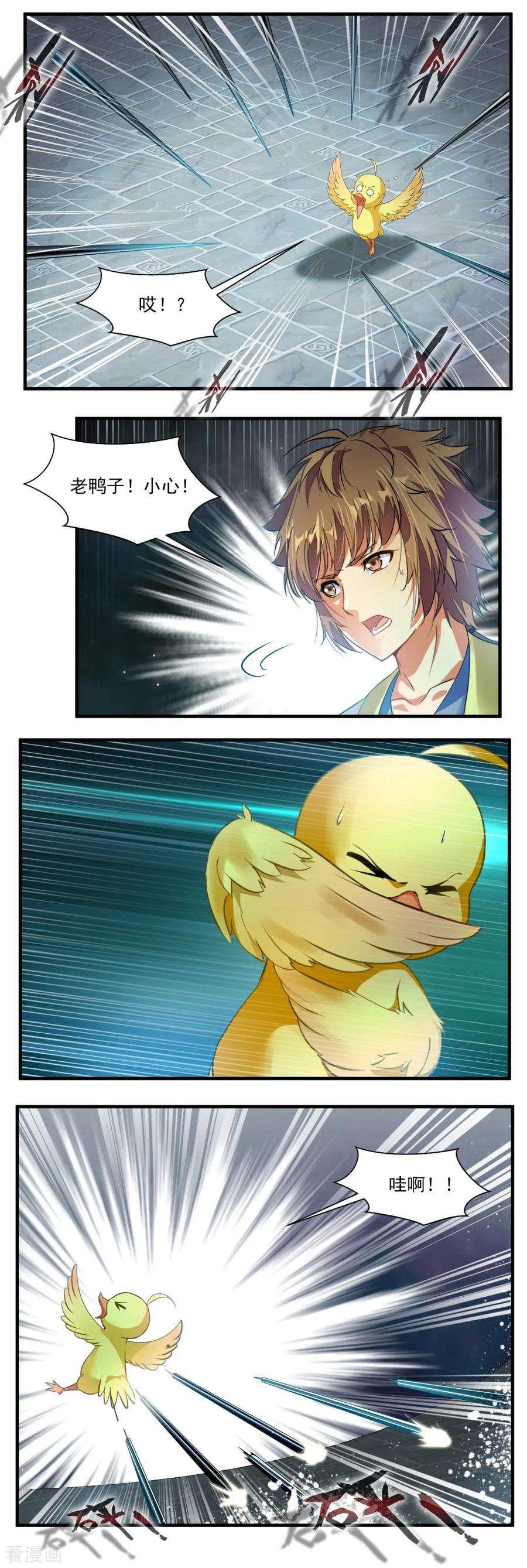 4.jpg