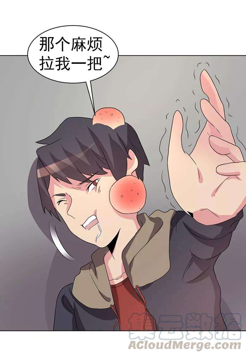 29.jpg