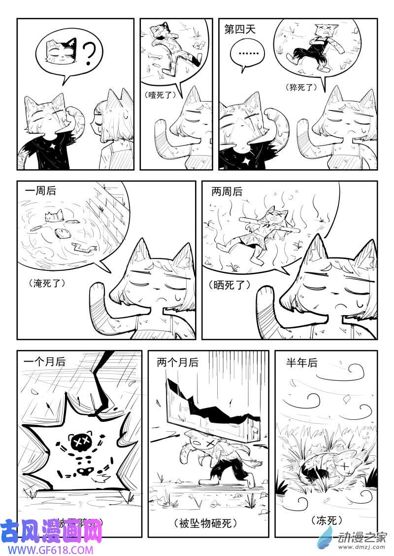 14.jpg