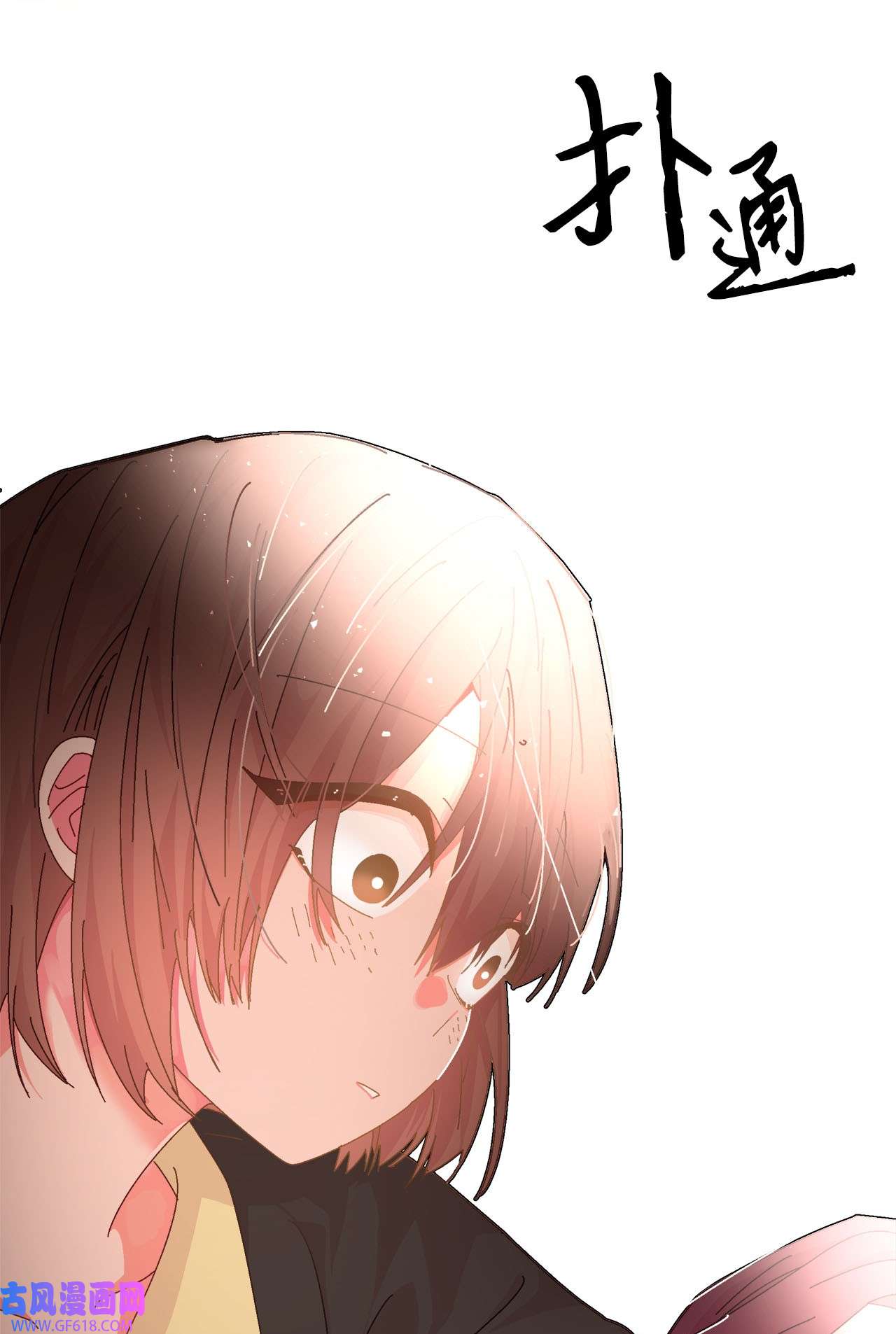 15.jpg