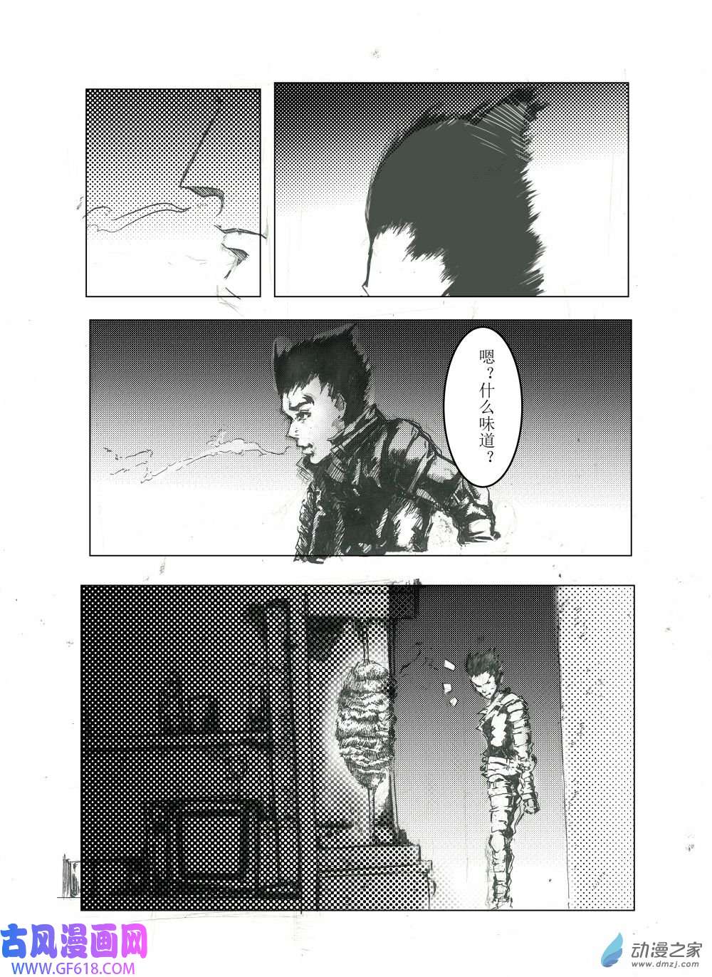 15.jpg