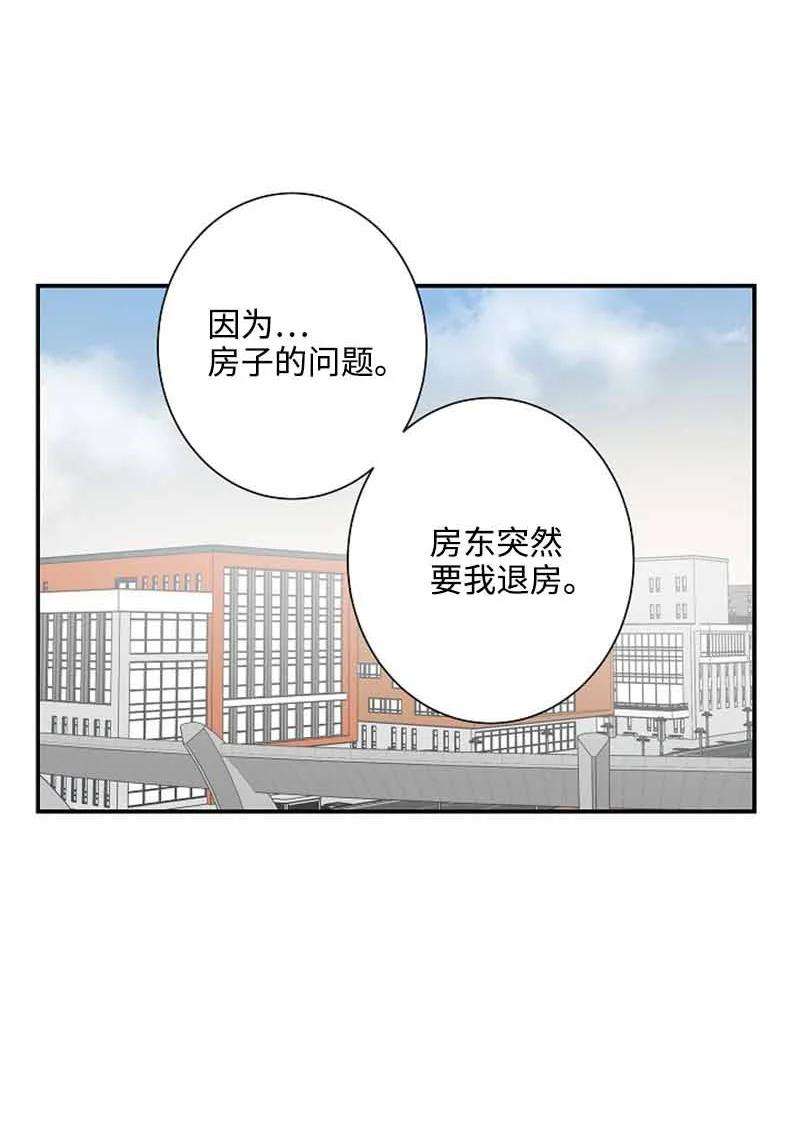 62.jpg