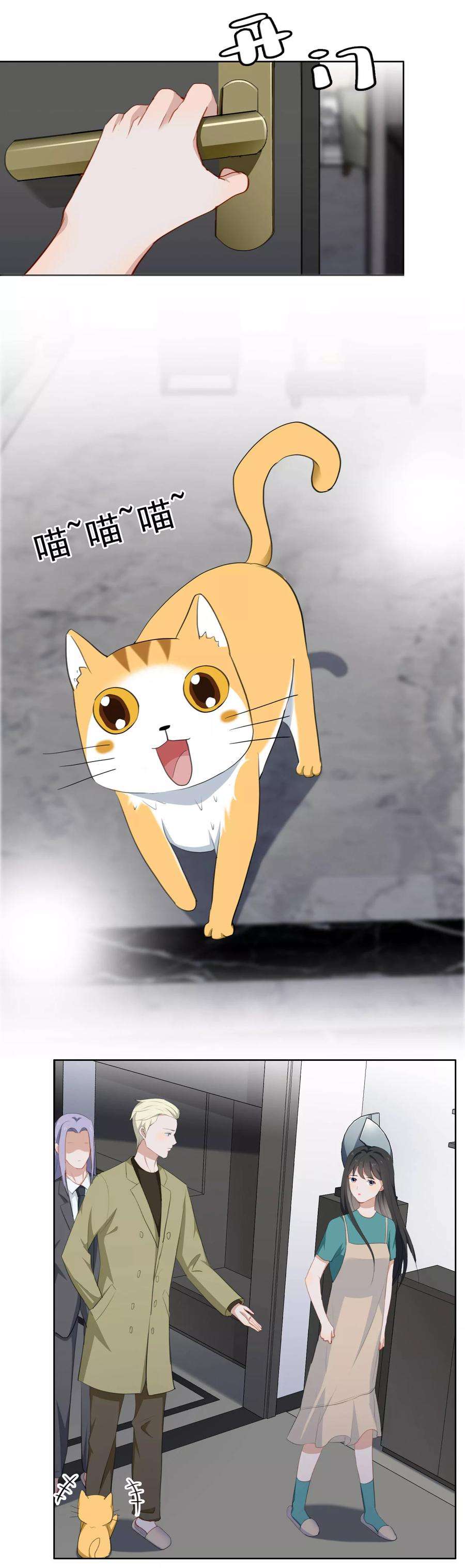 15.jpg