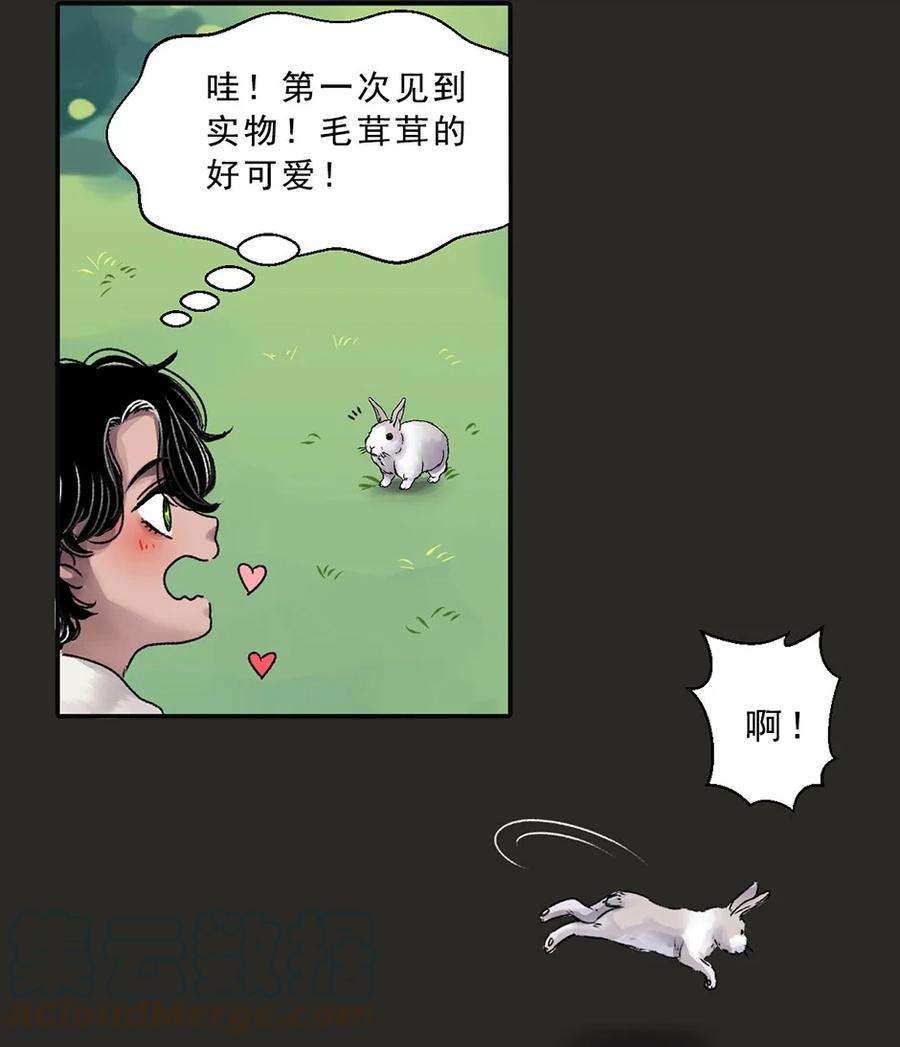 25.jpg