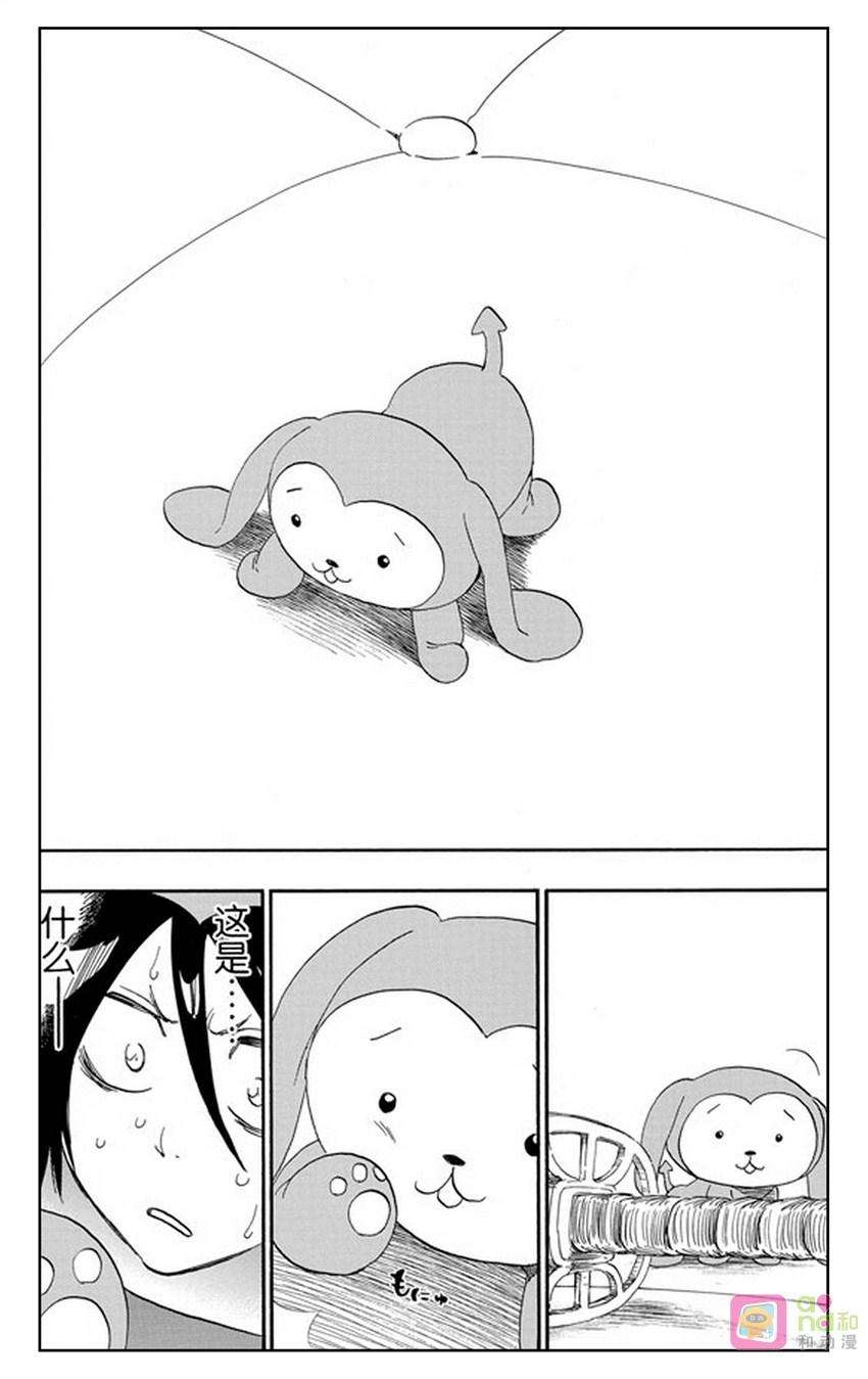 19.jpg