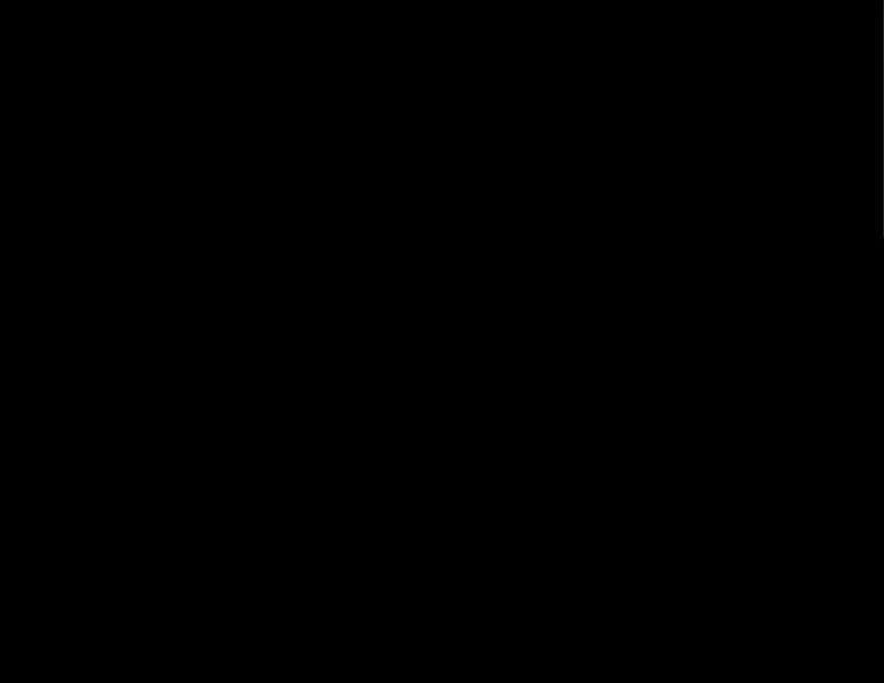 58.jpg