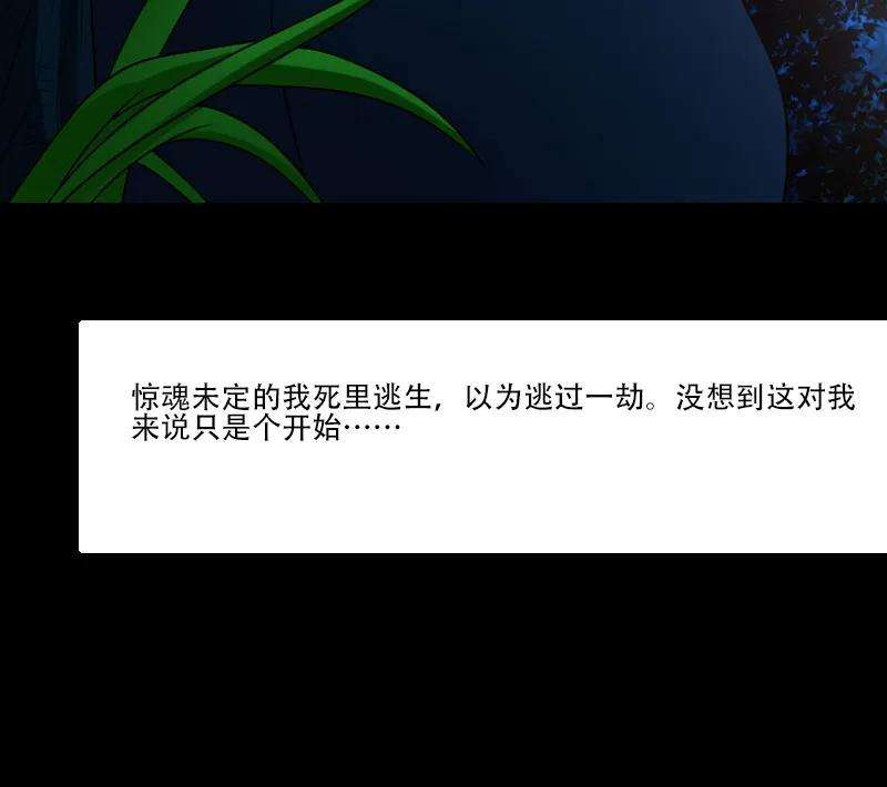 113.jpg