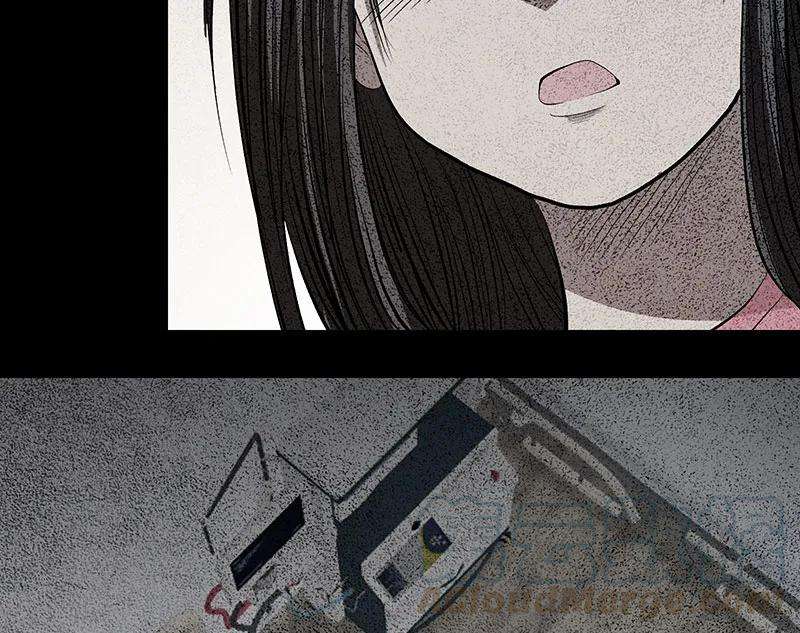 73.jpg