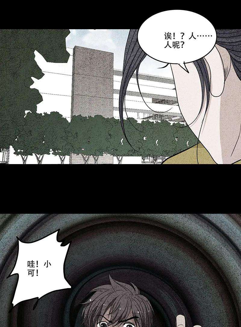 35.jpg