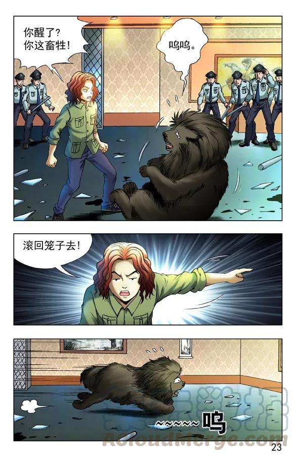 7.jpg