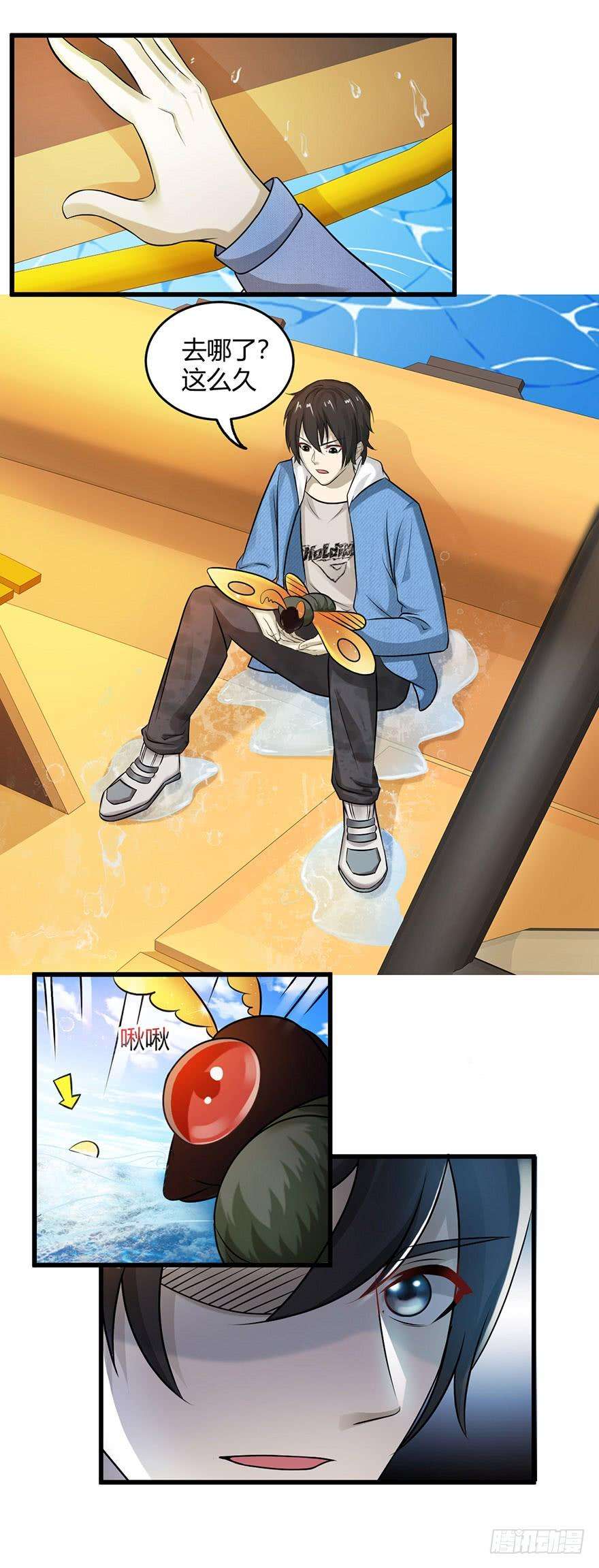 11.jpg