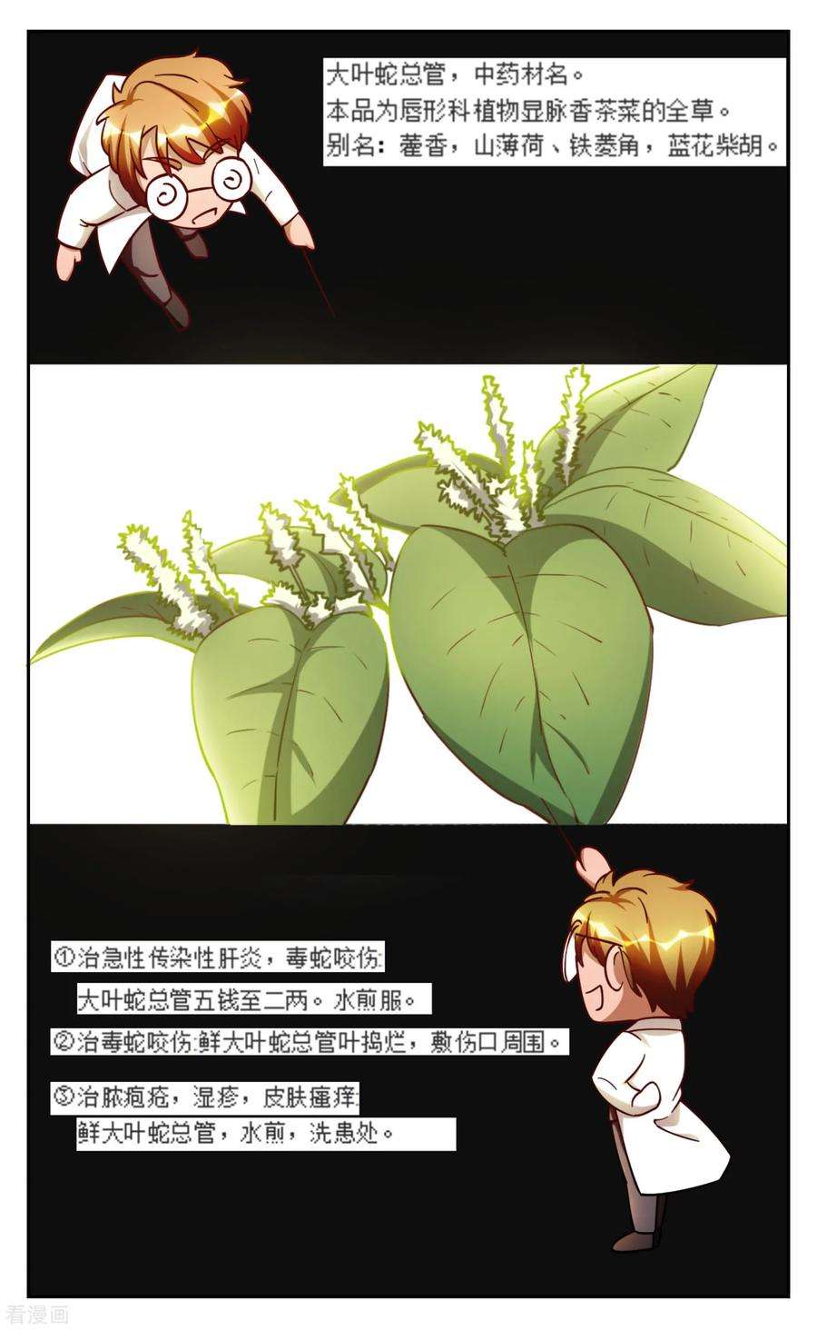 12.jpg
