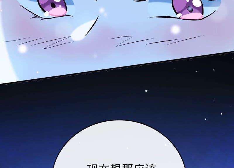 68.jpg