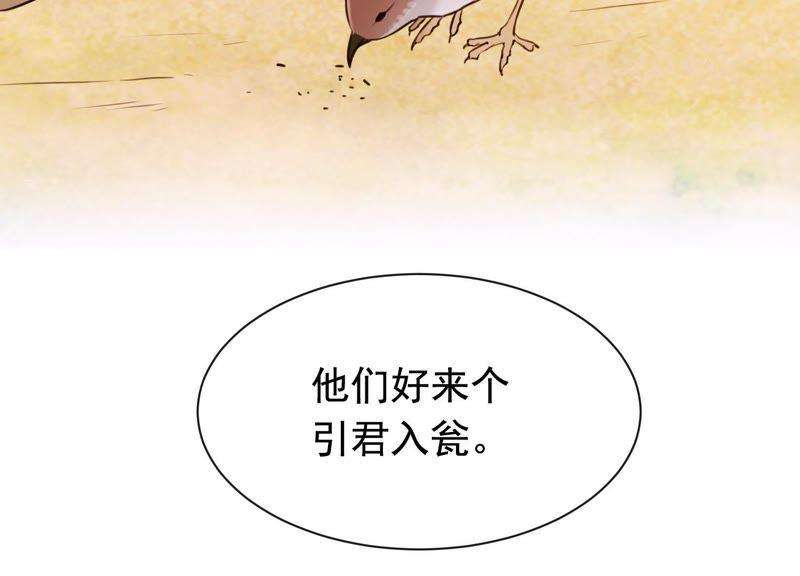 78.jpg