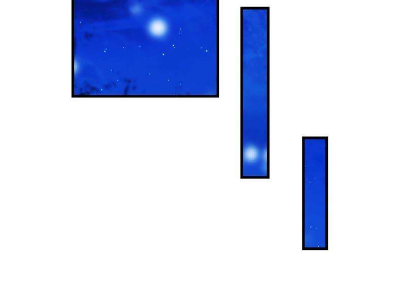 55.jpg