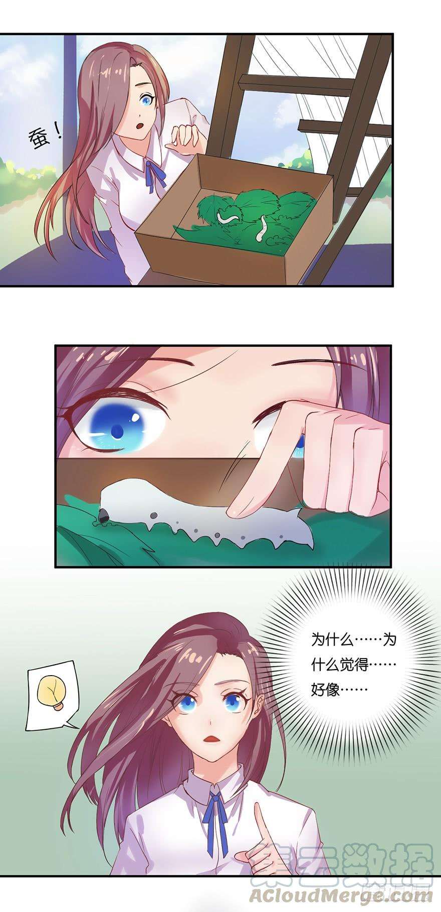 25.jpg