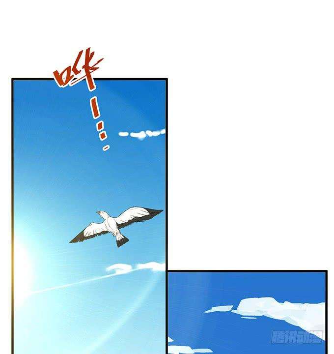 47.jpg