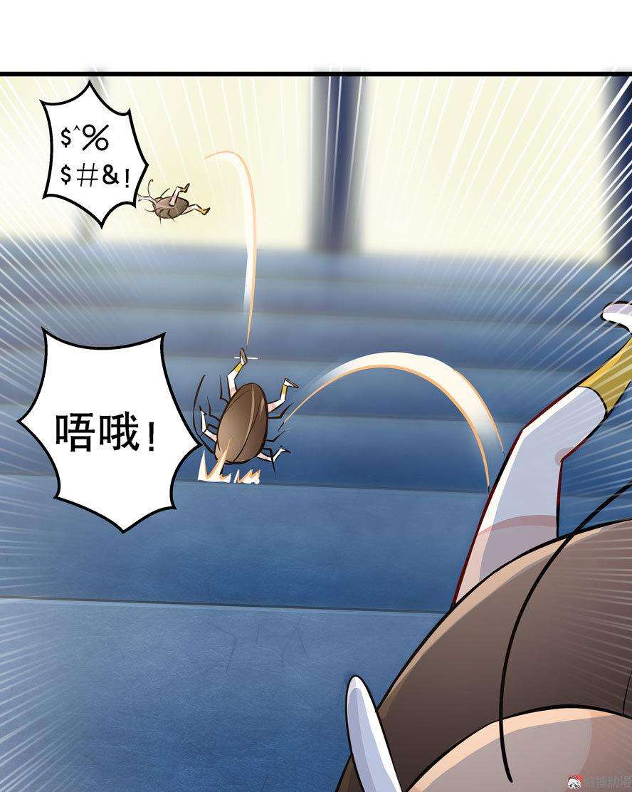 24.jpg