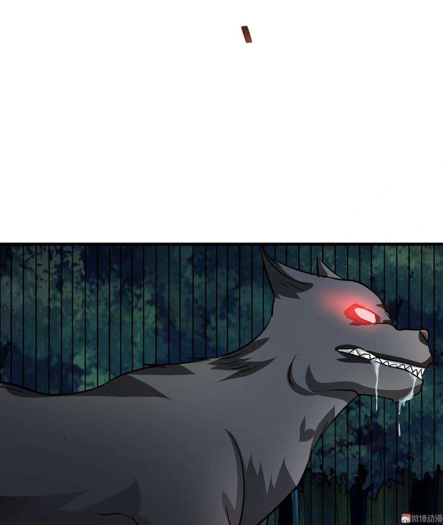 154.jpg