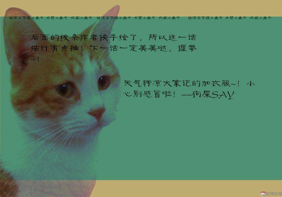 24.jpg