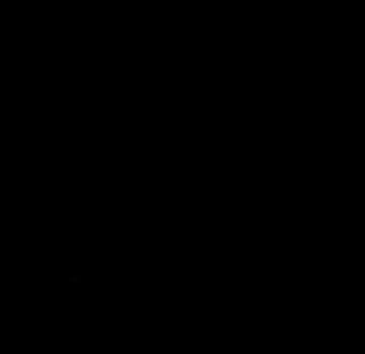 91.jpg