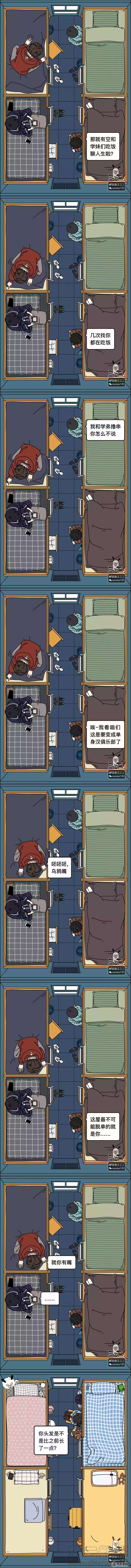 17.jpg