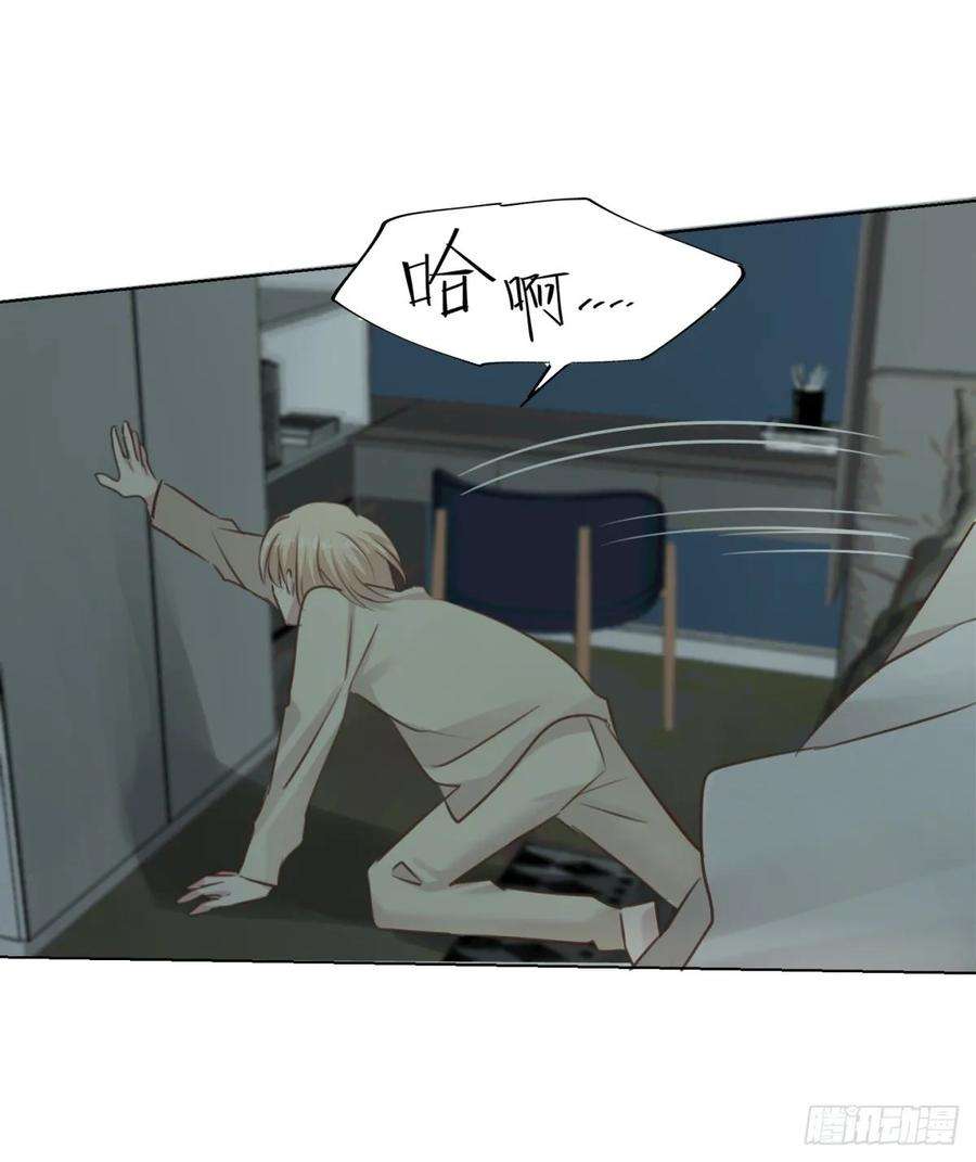52.jpg