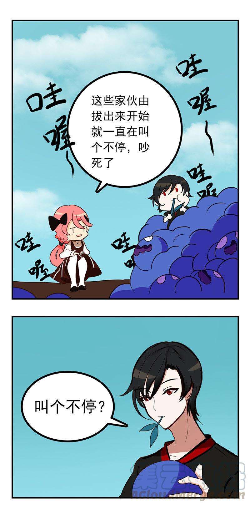 11.jpg