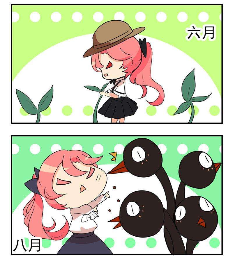 16.jpg