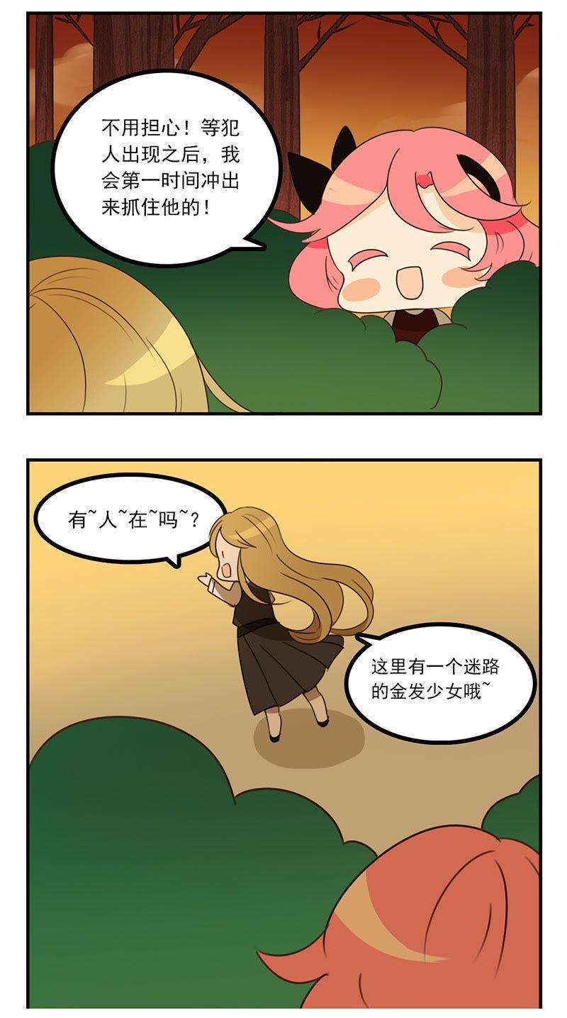 17.jpg