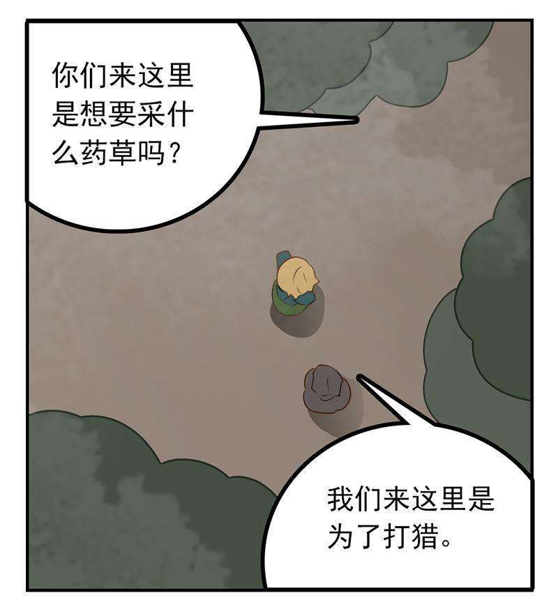 13.jpg