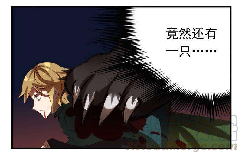 41.jpg