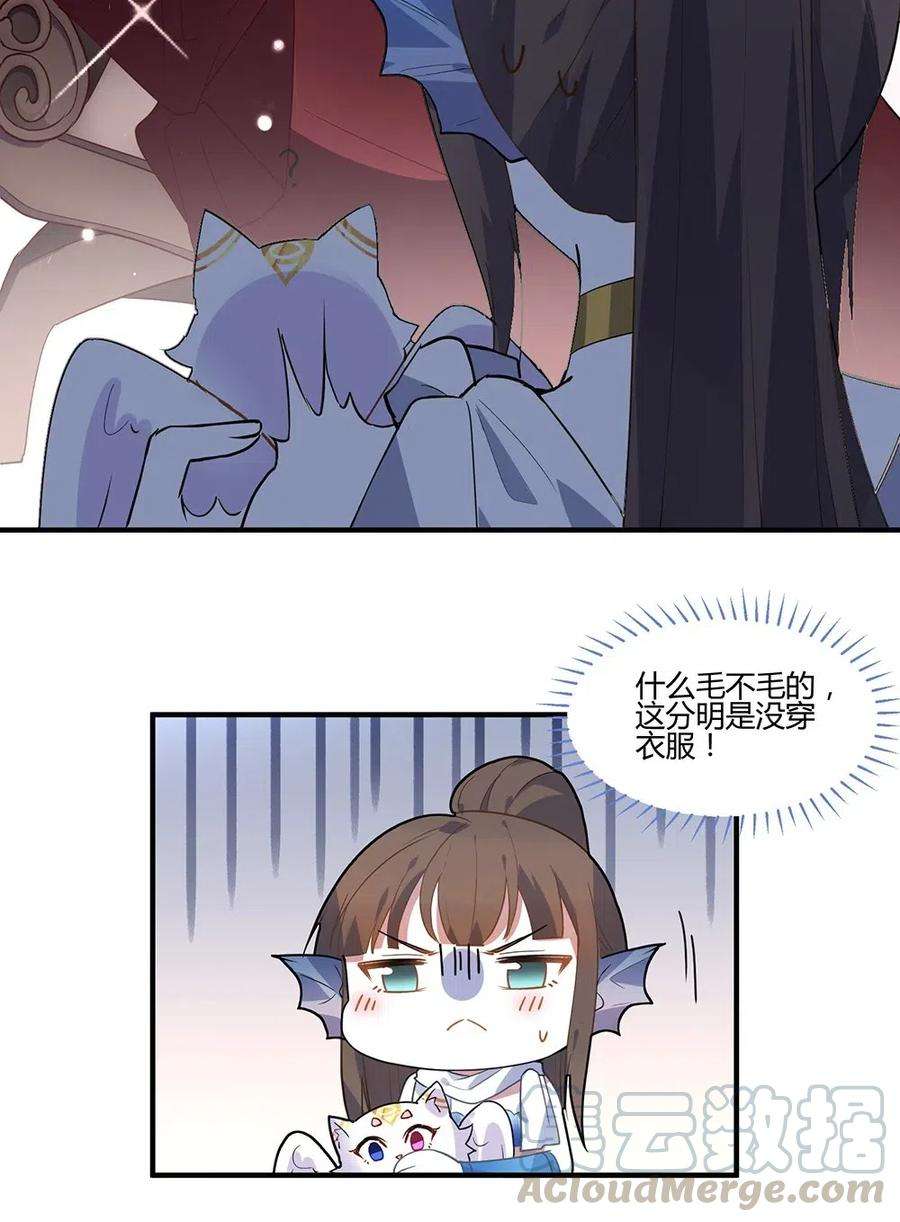 31.jpg