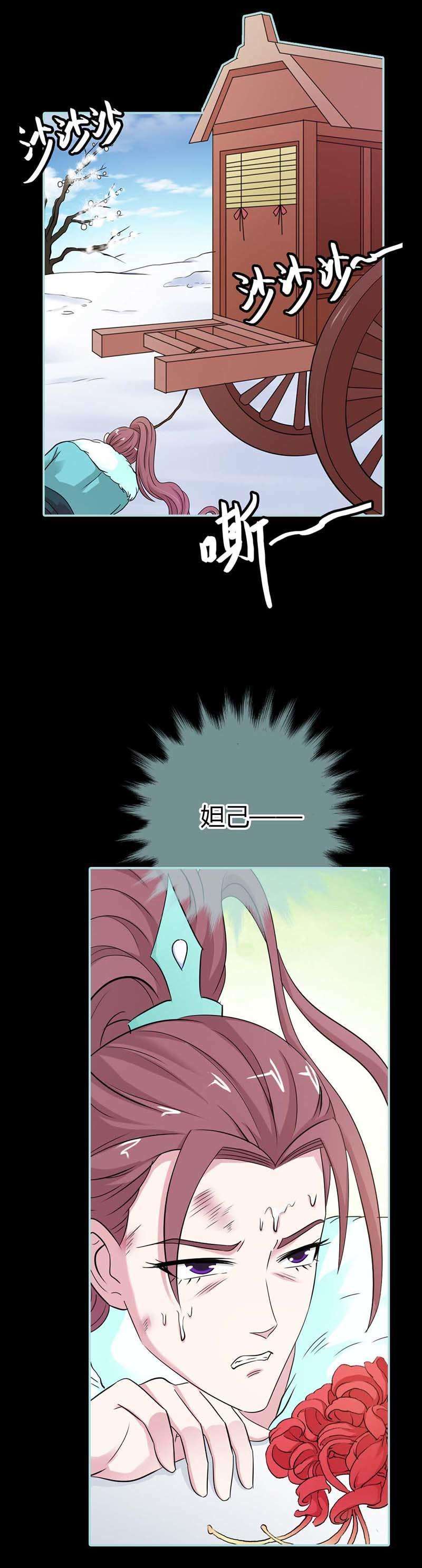13.jpg