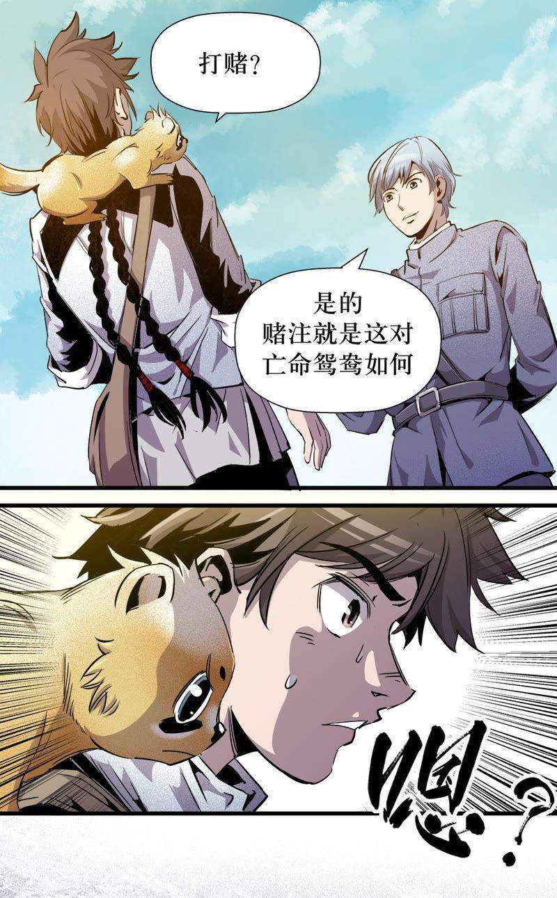 14.jpg
