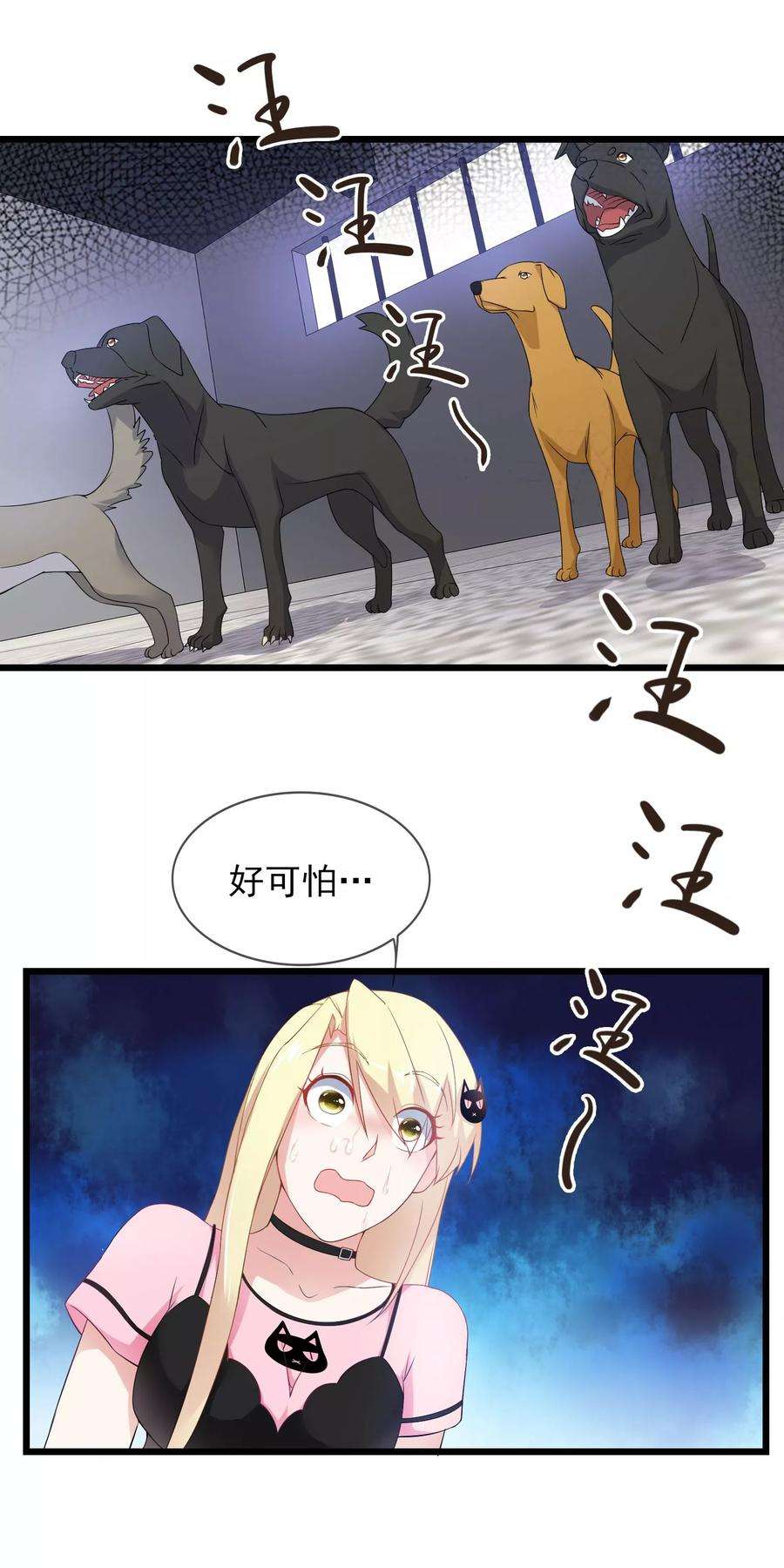 19.jpg