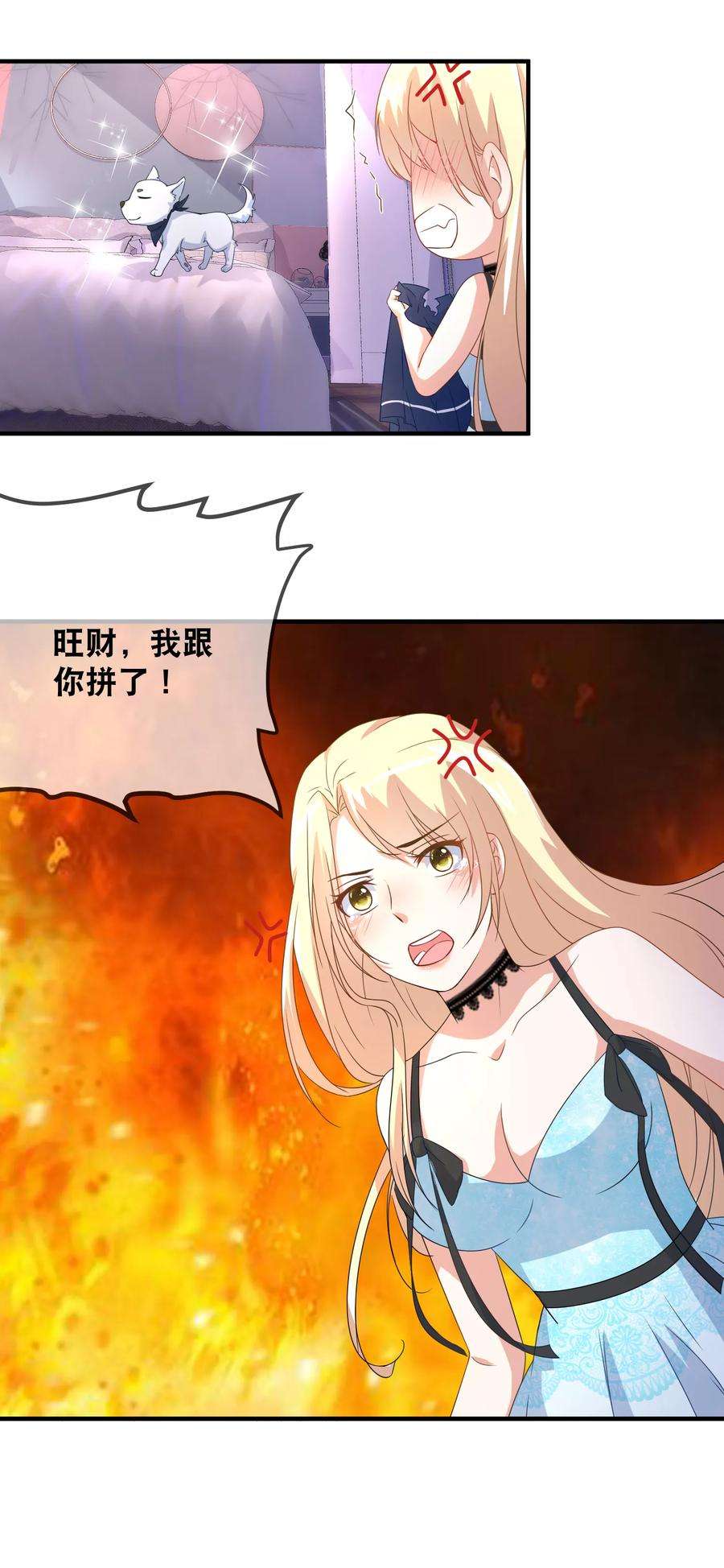 17.jpg