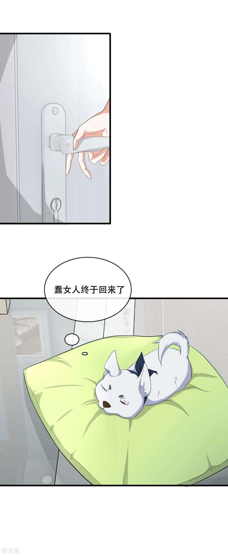 19.jpg
