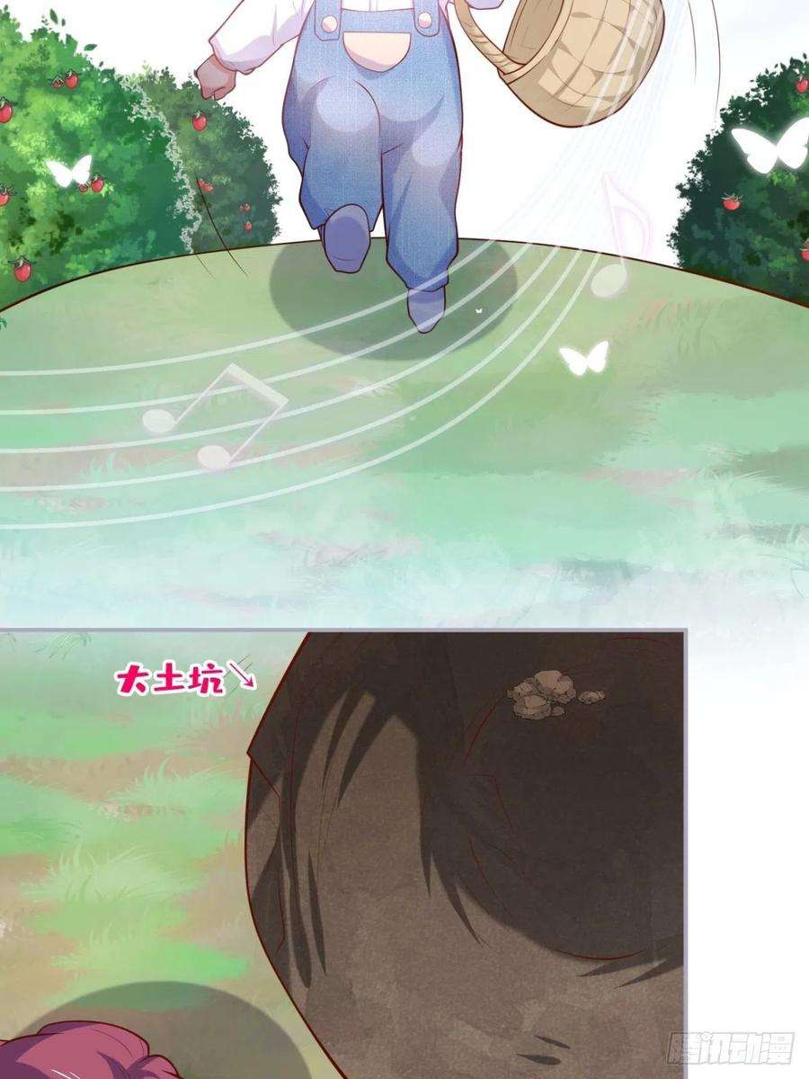 35.jpg