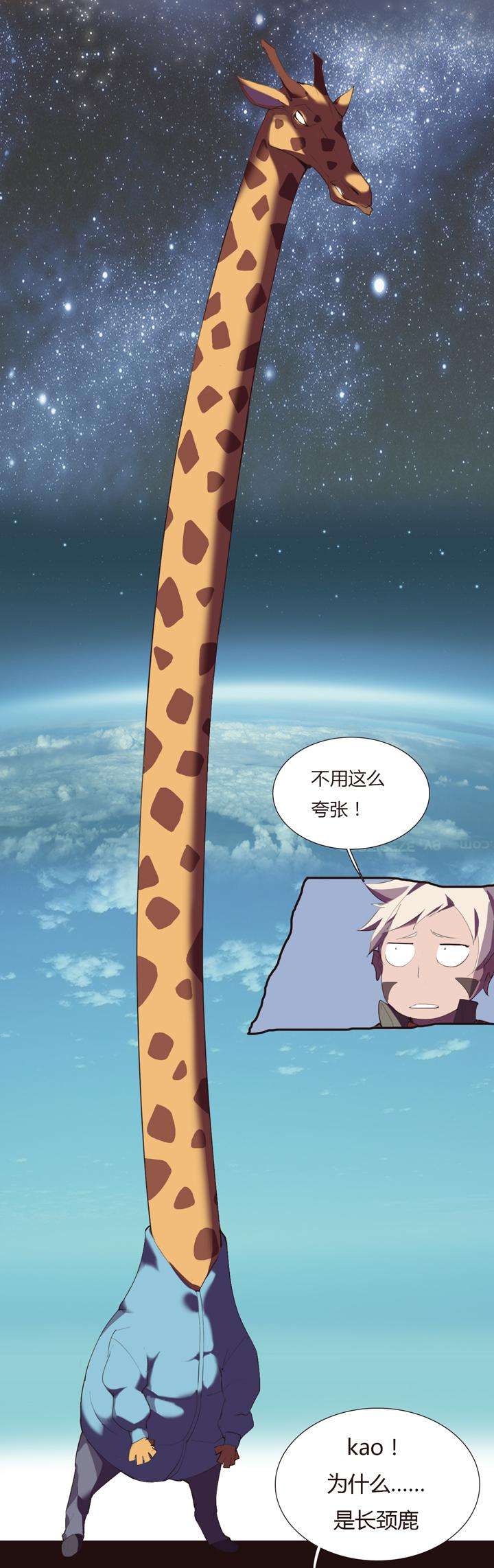17.jpg