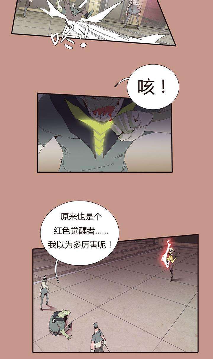 29.jpg