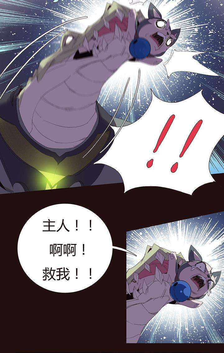 21.jpg