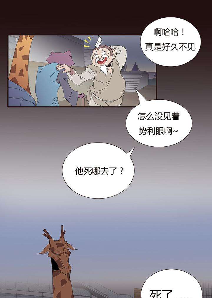 17.jpg