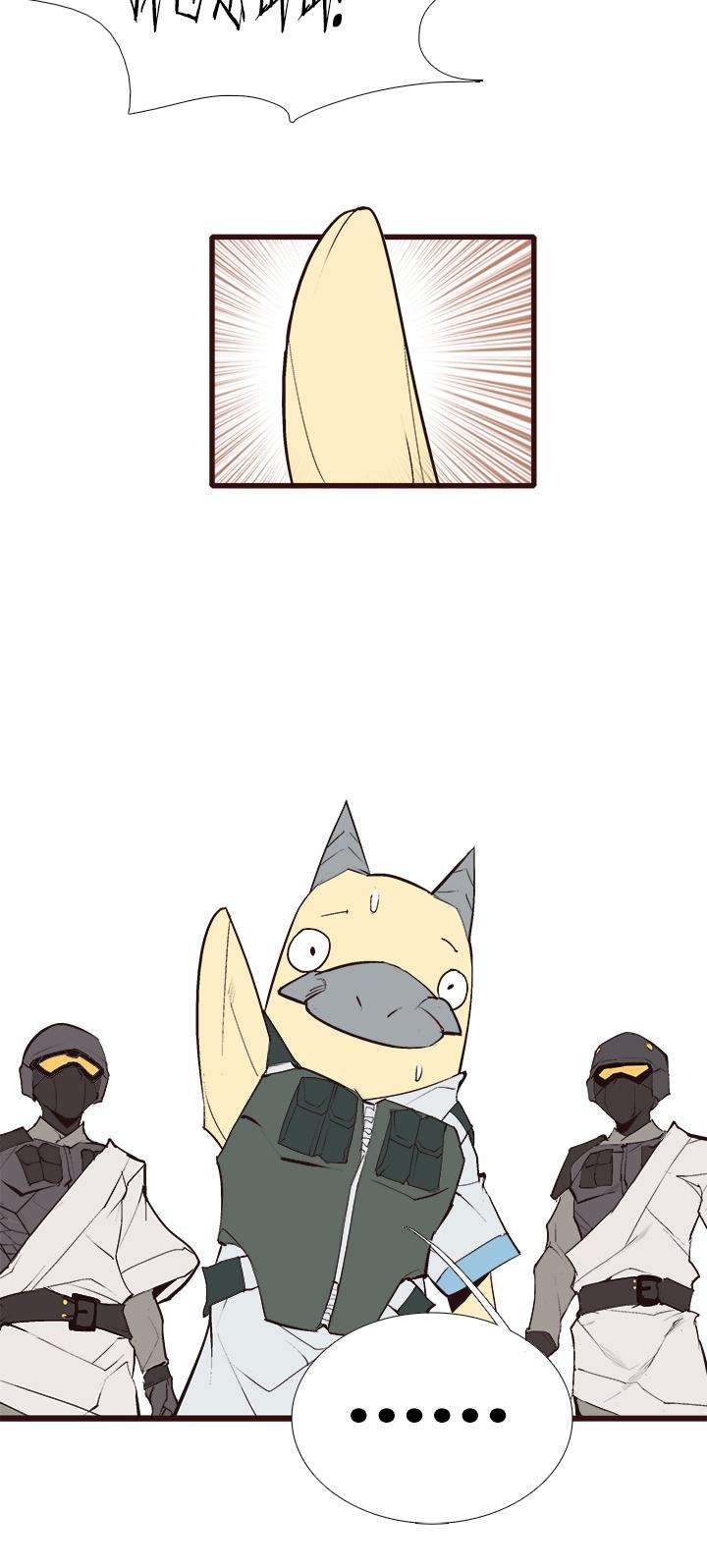 21.jpg