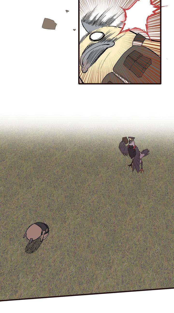 29.jpg