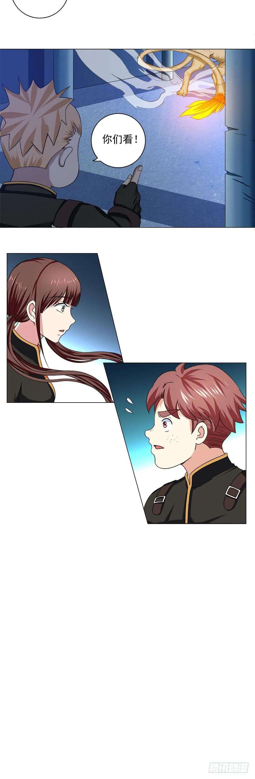 11.jpg