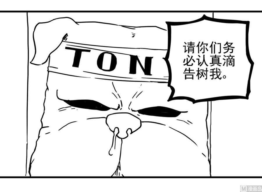 74.jpg