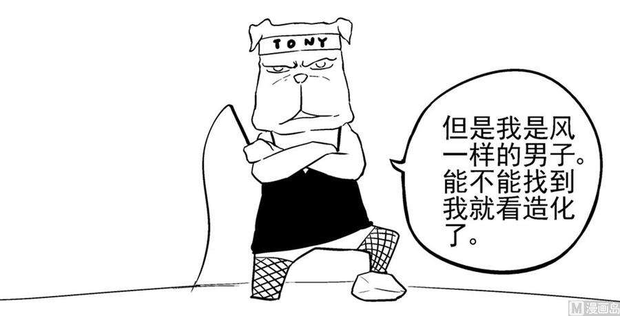 51.jpg